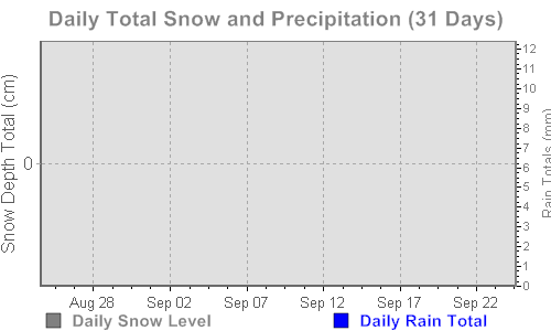 Daily Total Snow and Precipitation (31 Days)